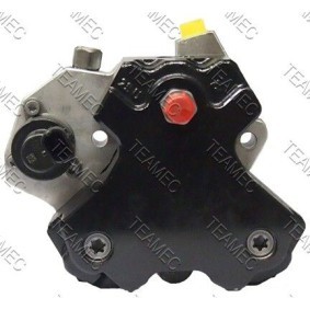 Achetez des Pompe à injection TEAMEC 874 341 à prix pour 468,46 €