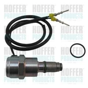 Achetez des Dispositif d'arrêt, système d'injection HOFFER 8029032 à prix pour 133,47 €