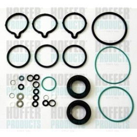 Acquista Kit riparazione, Common-Rail-System da HOFFER 8029155 a buon mercato per soli 38,30 €