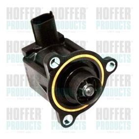 Acquista Valvola ricircolo aria di spinta, Compressore da HOFFER 8029288 a buon mercato per soli 170,71 €