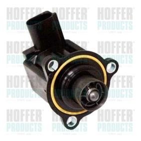 Acquista Valvola ricircolo aria di spinta, Compressore da HOFFER 8029295 a buon mercato per soli 95,39 €