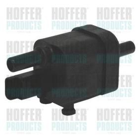 Compre Sensor, temperatura de combustível da HOFFER 8029304 a um preço baixo por 67,12 €