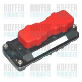 Compre Módulo de comando, gestão do motor da HOFFER 7540012 a um preço baixo por 710,08 €