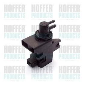 Compre Conversor de pressão, turbocompressor da HOFFER 8029039 a um preço baixo por 75,95 €