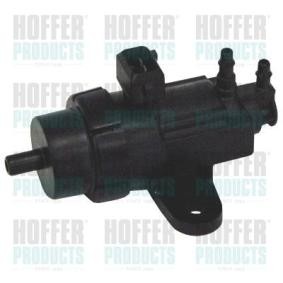 Acquista Convertitore pressione, Turbocompressore da HOFFER 8029127 a buon mercato per soli 54,23 €