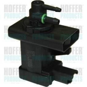 Compre Conversor de pressão, turbocompressor da HOFFER 8029195 a um preço baixo por 26,85 €