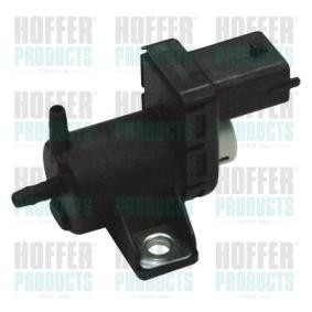 Acquista Convertitore pressione, Controllo gas scarico da HOFFER 8029242 a buon mercato per soli 26,30 €