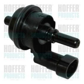 Compre Válvula de ventilação / respiro, depósito de combustível da HOFFER 8029306 a um preço baixo por 86,17 €