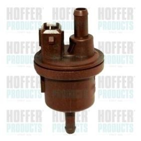 Compre Válvula de ventilação / respiro, depósito de combustível da HOFFER 8029311 a um preço baixo por 22,82 €