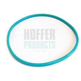 Compre Junta, bomba de combustível da HOFFER 750GSK03 a um preço baixo por 15,21 €