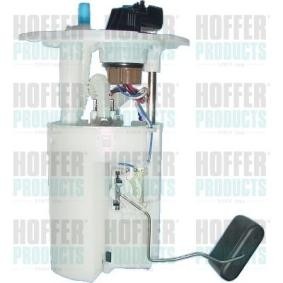 Comprar Unidad de alimentación de combustible de HOFFER 7506865 a bajo precio de 154,94 €