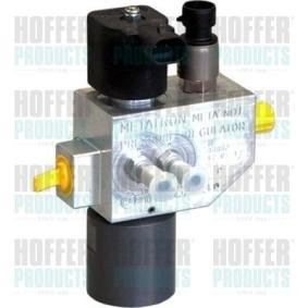 Achetez des Gicleur, injection HOFFER H13101 à prix pour 727,63 €