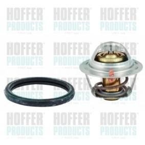 Comprar Termostato, refrigerante de HOFFER 8192433 a bajo precio de 19,71 €