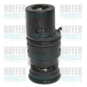 Kühlwasserthermostat von HOFFER 8192768