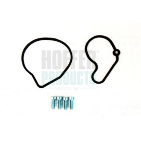 Acquista Kit riparazione, Pompa a depressione (Sistema frenante) da HOFFER 8091114 a buon mercato per soli 22,47 €