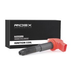Osta Sytytyspuola RIDEX:llä 689C0276 edullisesti hintaan 29,23 €