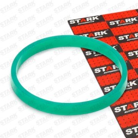 Ansaugkrümmerdichtung SKGI-0710077