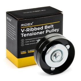 Osta Kiristysrulla, moniurahihna RIDEX:llä 310T0137 edullisesti hintaan 17,04 €