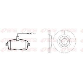Comprar Kit de discos de freno y pastillas de REMSA 81102.00 a bajo precio de 230,08 €