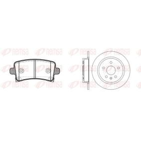 Comprar Kit de discos de freno y pastillas de REMSA 81388.00 a bajo precio de 236,24 €