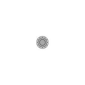 Acquista Kit bulloni testata da AMC 258517 a buon mercato per soli 53,92 €
