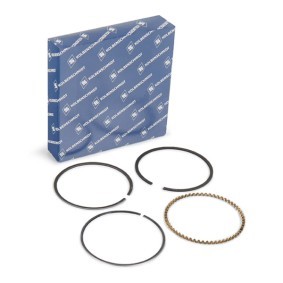 Comprar Juego de aros de pistón de KOLBENSCHMIDT 800049210000 a bajo precio de 14,09 €