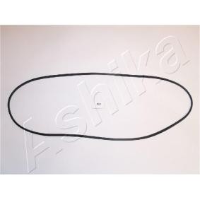 Acquista Guarnizione, Copritestata da ASHIKA 47-02-213 a buon mercato per soli 6,97 €