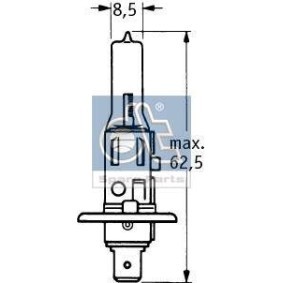 Osta Polttimo, ajovalo DT Spare Parts:llä 9.78109 edullisesti hintaan 3,37 €