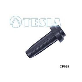 Stecker, Zündkerze CP069 CITROËN von TESLA