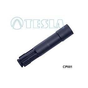 Acquista Cappuccio, Candela d'accensione da TESLA CP001 a buon mercato per soli 5,51 €