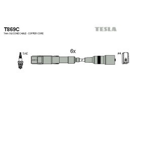 Acquista Kit cavi candele da TESLA T869C a buon mercato per soli 49,21 €