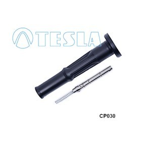 Stecker, Zündkerze CP030 TOYOTA von TESLA