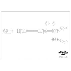 Comprar Latiguillo de freno de CORTECO 19036981 a bajo precio de 21,08 €