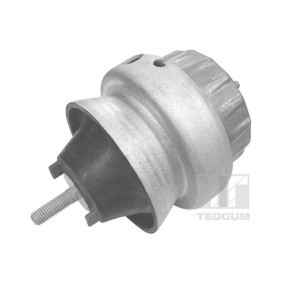 Acquista Supporto motore da TEDGUM 00056451 a buon mercato per soli 35,12 €