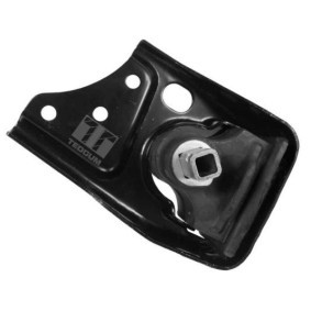 Acquista Supporto, Sospensione motore da TEDGUM 00132769 a buon mercato per soli 30,36 €