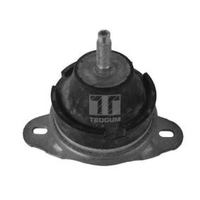 Acquista Supporto, Sospensione motore da TEDGUM 00374170 a buon mercato per soli 19,72 €