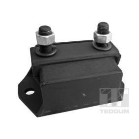 Acquista Supporto, Sospensione motore da TEDGUM 00391581 a buon mercato per soli 7,46 €