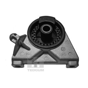 Acquista Supporto motore da TEDGUM 00509064 a buon mercato per soli 18,67 €