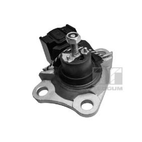 Acquista Supporto motore da TEDGUM 00586867 a buon mercato per soli 33,11 €