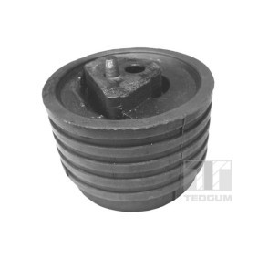 Acquista Supporto, Sospensione motore da TEDGUM 00614322 a buon mercato per soli 38,90 €