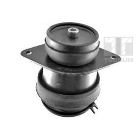 Acquista Supporto, Sospensione motore da TEDGUM 00721413 a buon mercato per soli 26,85 €