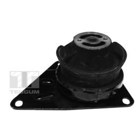 Acquista Supporto motore da TEDGUM 00723888 a buon mercato per soli 63,07 €