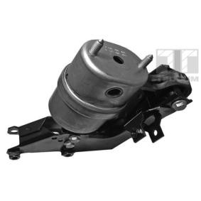 Acquista Supporto motore da TEDGUM 00725526 a buon mercato per soli 108,00 €