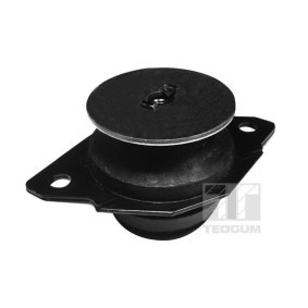 Acquista Cuscinetto, Supporto cambio manuale da TEDGUM 00725600 a buon mercato per soli 13,88 €