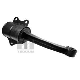 Acquista Supporto motore da TEDGUM 00725975 a buon mercato per soli 33,11 €