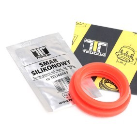 Acquista Kit riparazione, Servofreno da TEDGUM 00748698 a buon mercato per soli 16,73 €