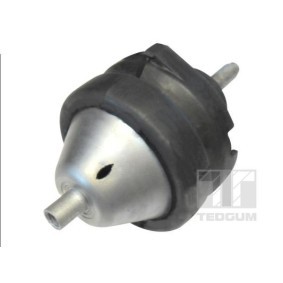 Acquista Supporto motore da TEDGUM 01296916 a buon mercato per soli 88,47 €