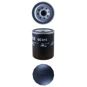 Köp Monteringsats, Turbo av MAHLE ORIGINAL 021 TA 14642 000 till det låga priset 355,99 kr