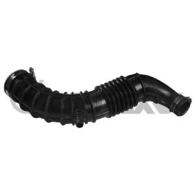 Acquista Tubo aspirazione filtro aria da CAUTEX 026733 a buon mercato per soli 79,58 €