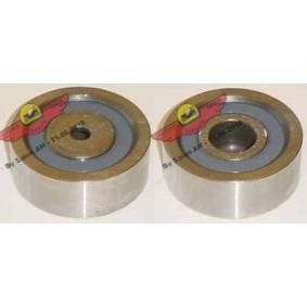 Compre Polia de desvio / de guia, correia trapezoidal estriada da AUTOKIT 03.443 a um preço baixo por 178,65 €